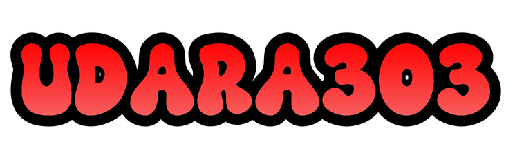 UDARA303